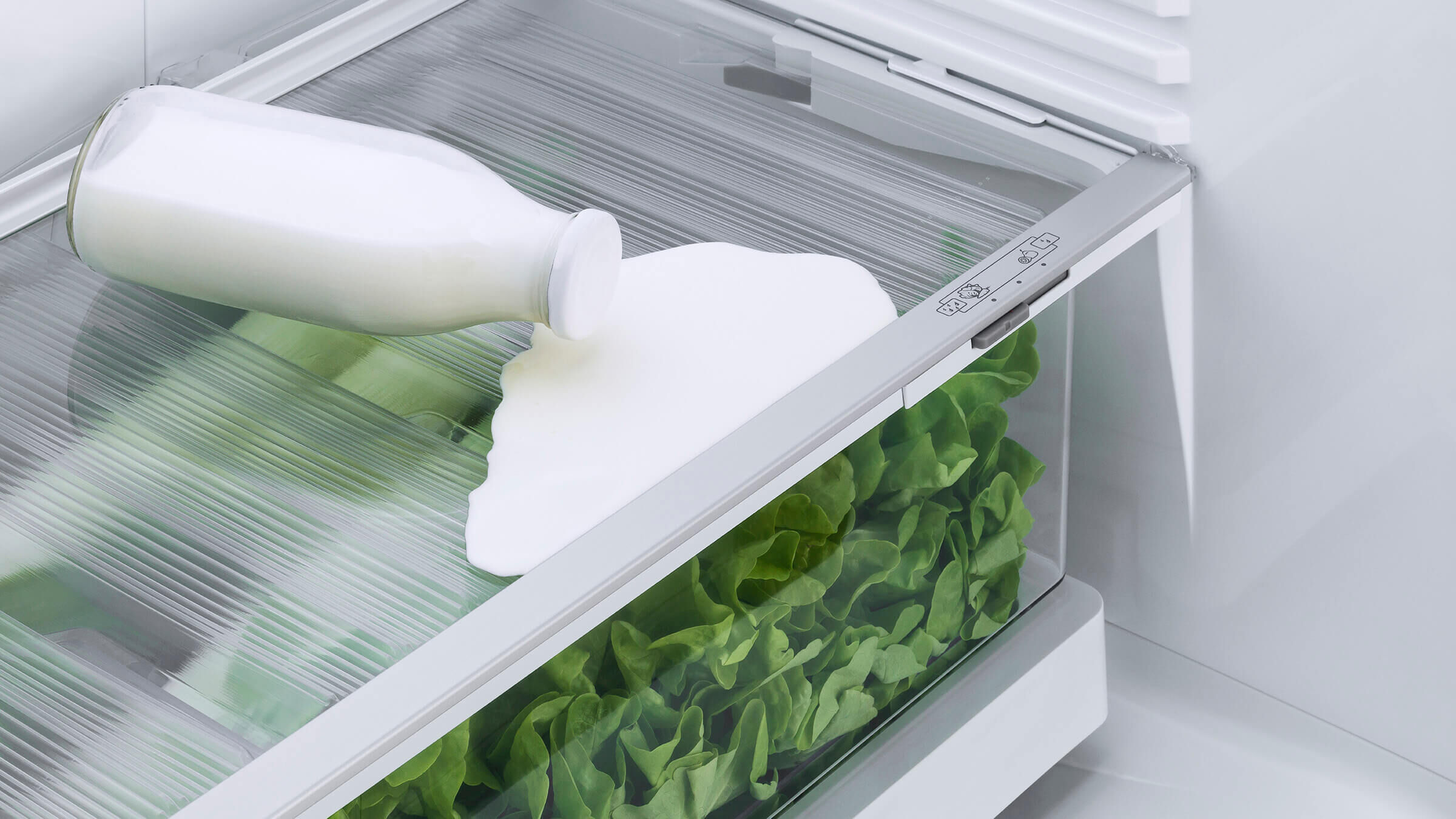 Freestanding Refrigerator Freezer, 25