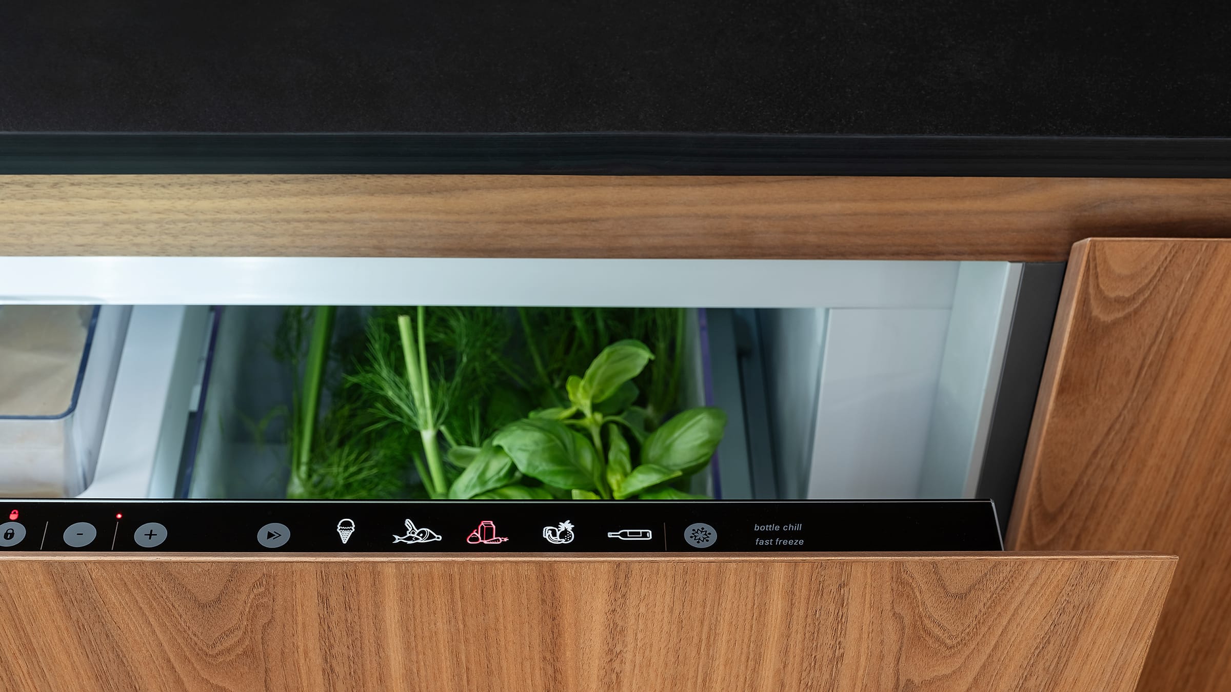 Fisher & Paykel Integrated CoolDrawer